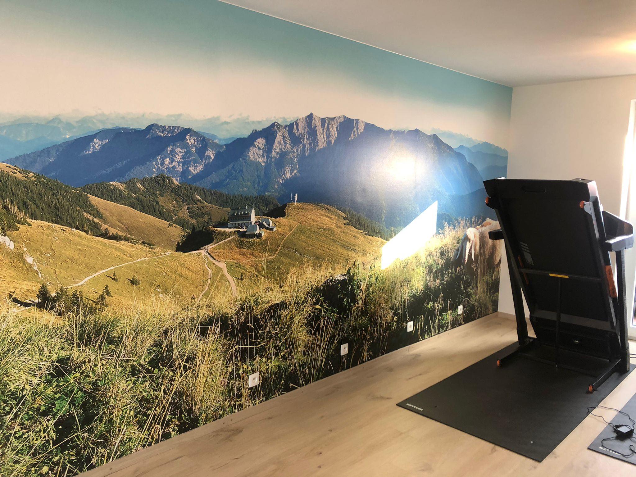 271965881 1277368956093938 8500553634257893842 N